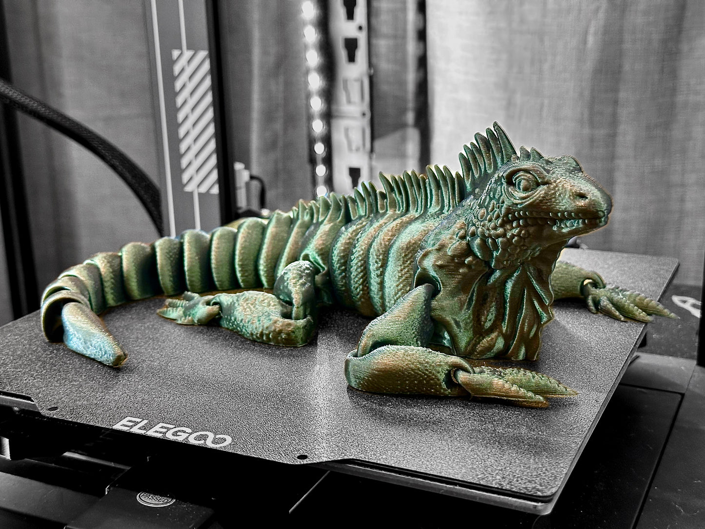 3D printed flexi Green Iguana